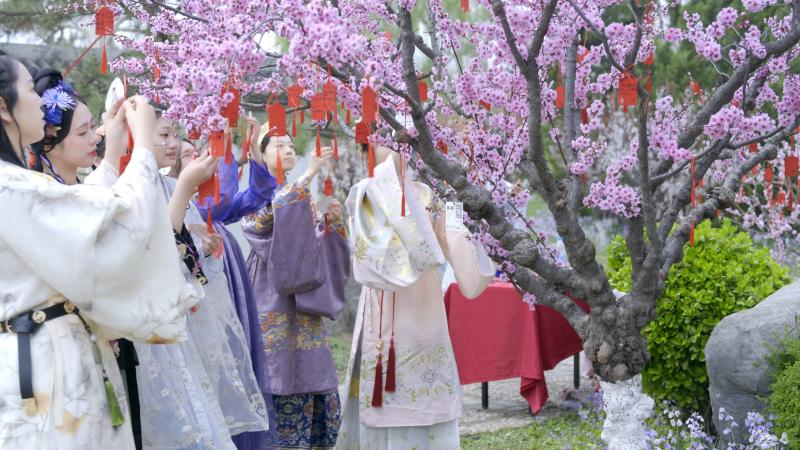 685a23fce9558.jpg 花神节.jpg