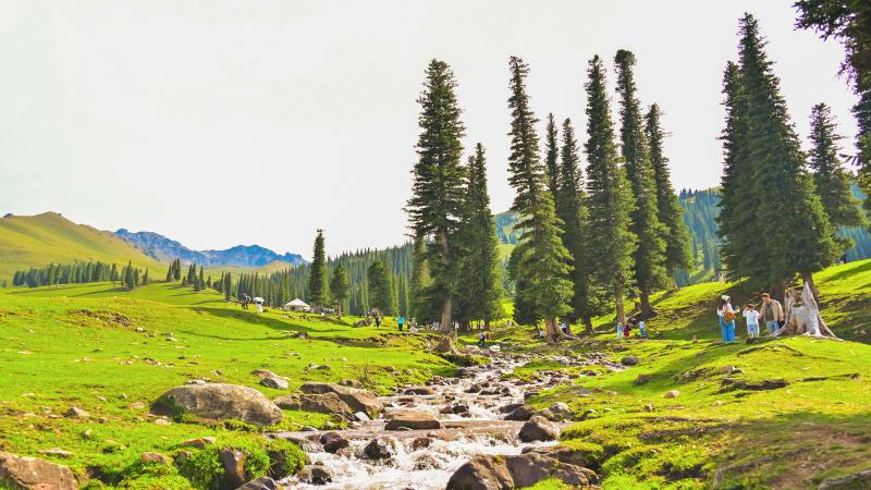 685a3b61b36ec.jpg 那拉提.jpg