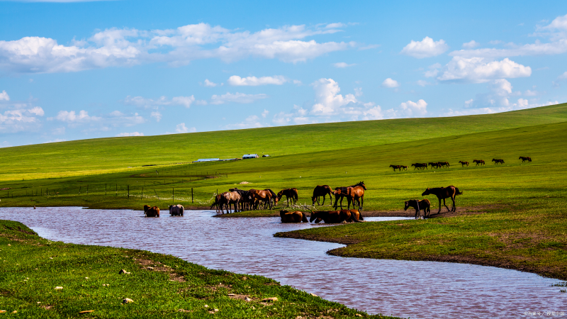 685a5b8265a13.png 贝尔.png