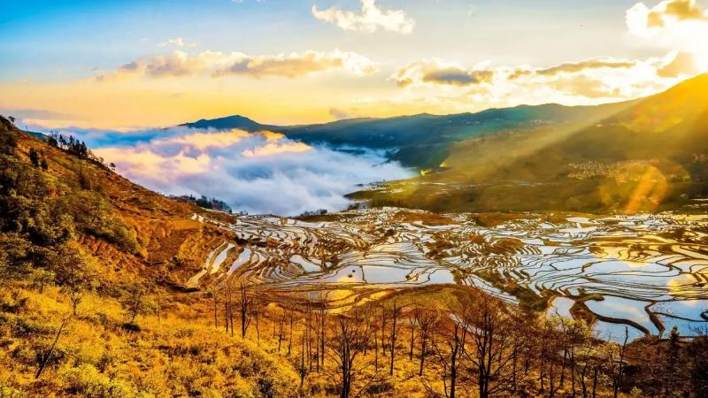 685a6545309a4.jpg 梯田.jpg