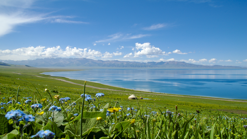 685b64ab2f143.png 赛虎.png