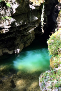 685d029312ec2.png 筏子2.png