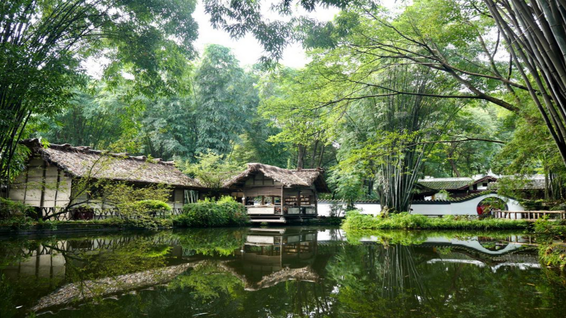 685d211f95ca1.png 杜甫.png