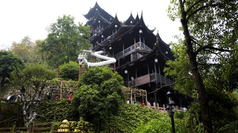 686346e62e87a.jpg zjj2.jpg