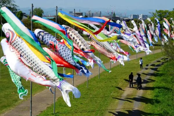 6863c07228190.jpg 儿童.jpg