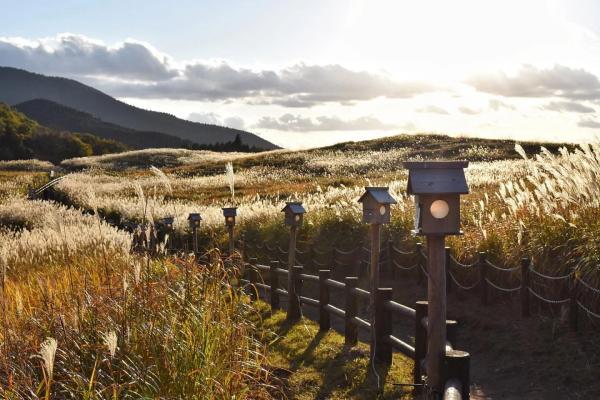 6864f529471a4.jpg 曽尔村.jpg