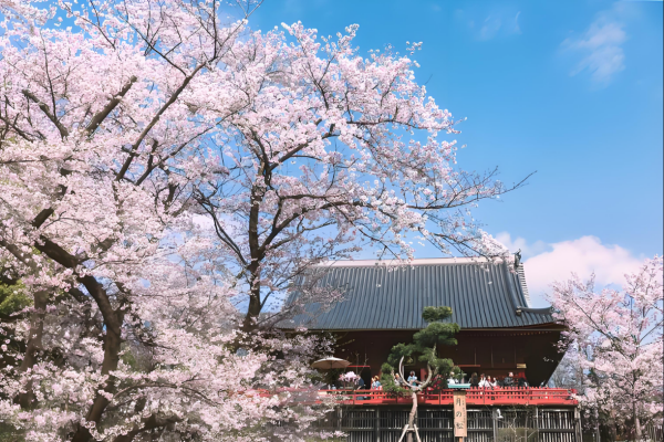 686512124add9.png 上野.png