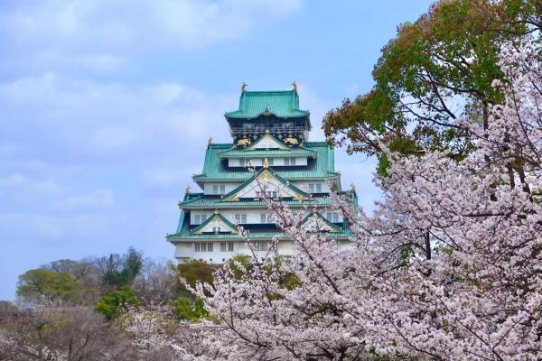 686754128e119.jpg 大阪樱花.jpg