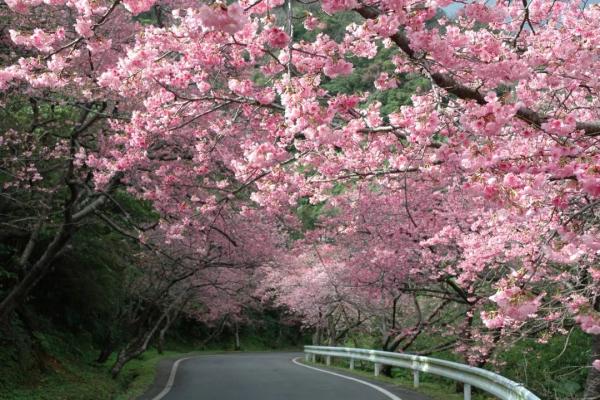 68675519e1500.jpg 冲绳.jpg