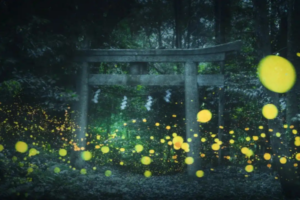 6867880e668bf.png 萤火虫.png