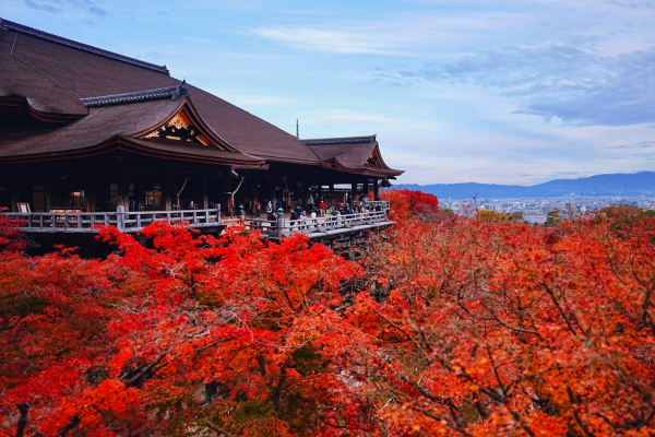 68679e2202308.png jd.png