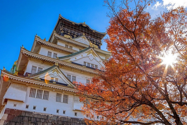 68679e887c1a5.png db.png