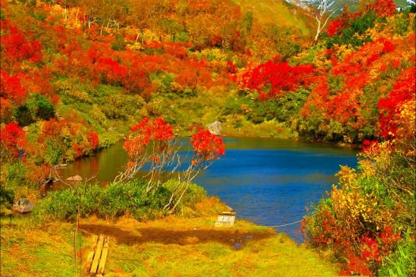 68679f55763ac.jpg bhd.jpg