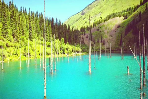 686f91ed4ad63.png 1.png