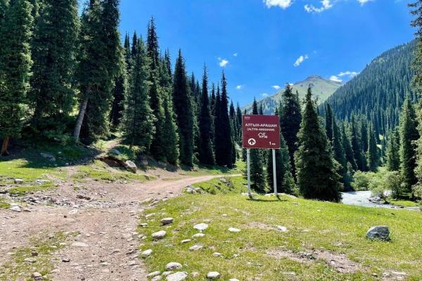 686f92915973f.jpg 3.jpg