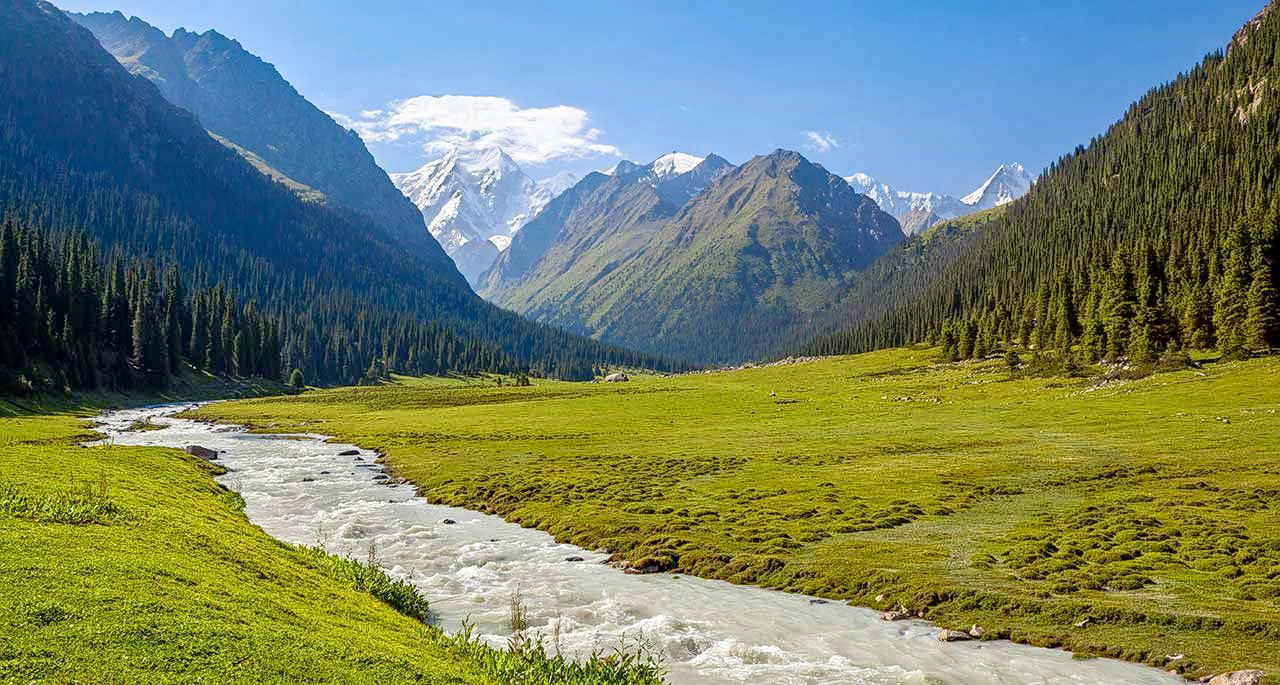 68ae8c4897d9d.png 68ae8c4897d9d.png